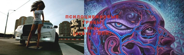 a pvp Алексеевка