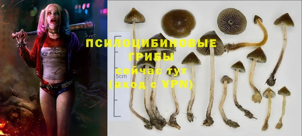 a pvp Алексеевка