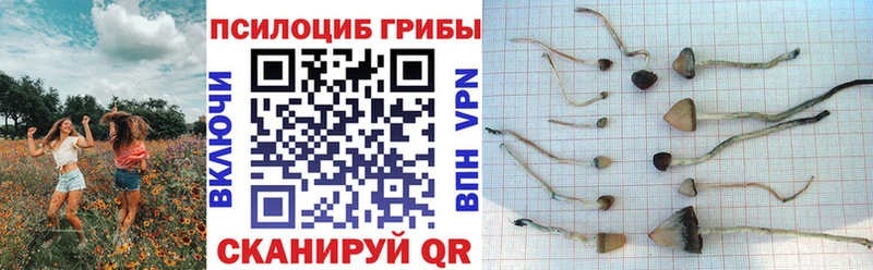 Галлюциногенные грибы мухоморы shop клад Кола